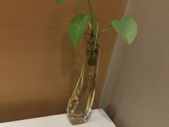 -上海中航虹桥机场泊悦酒店