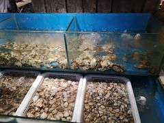 -深海800米海鲜自助(万达广场店)