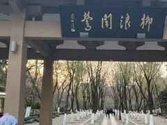 -柳浪闻莺公园