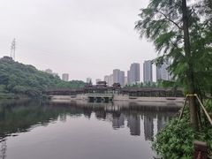 -重庆彩云湖湿地公园