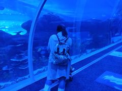 -成都浩海立方海洋公园