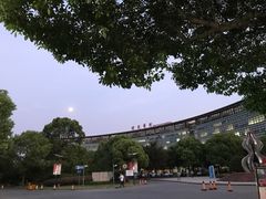 -上海中医药大学附属曙光医院(东部)