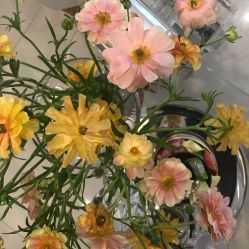 -倩极·精研痘敏肌管理