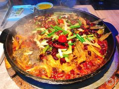 -老板恋上鱼(恒隆广场店)