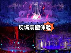 -广州长隆国际大马戏