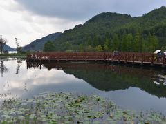 -广州市石门国家森林公园