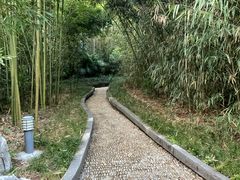 -菊花台公园