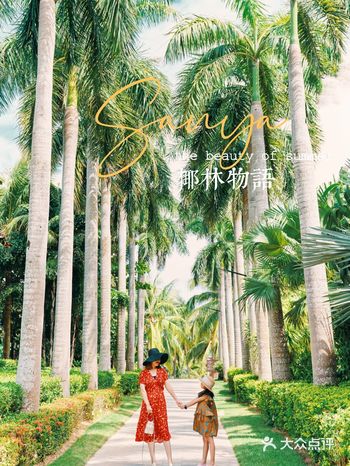 三亚 | 椰林斑驳，在海边味享下午茶