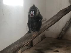 -新疆天山野生动物园