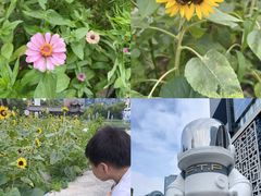 -证大喜玛拉雅中心