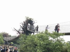 -天适樱花悠乐园