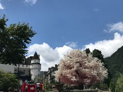 -四川省成都市彭州市白鹿镇