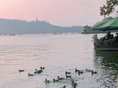 -杭州君悦酒店