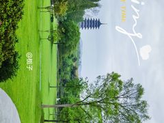 -宜兴龙背山森林公园