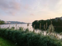 -千岛湖忆湖度假酒店(中心湖景区店)