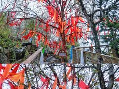 -叠溪松坪沟景区