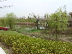 -江滩湿地公园