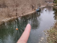 -长白岛森林公园