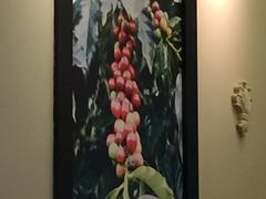 -星巴克臻选(威海威高广场店)