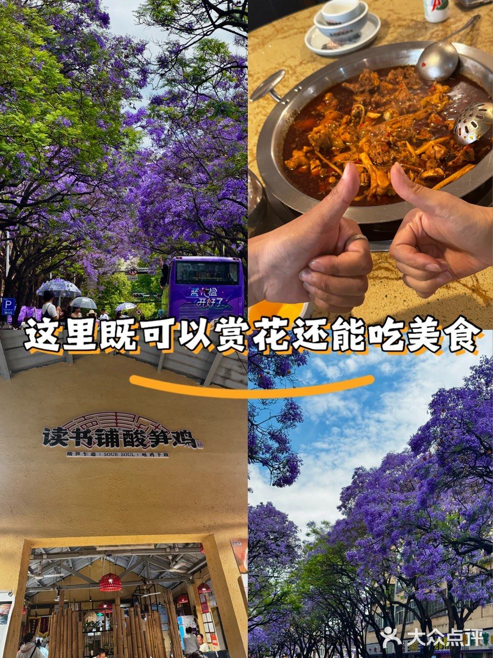 赏花吃美食俩不误 妙哉👍