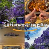 赏花吃美食俩不误 妙哉👍