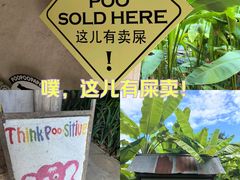 -大象粑粑造纸公园