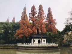 -汇龙潭