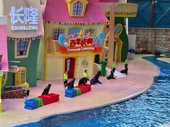 -珠海长隆海洋王国