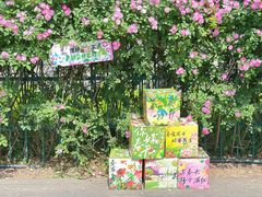 -国际青年会议酒店