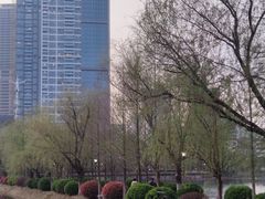-宝岛公园