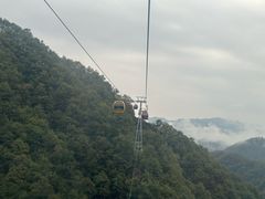 -栾川竹海野生动物园