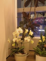 -栖SPA·ONDA ·海菲秀·皑皑科技美肤中心