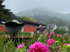 -潭柘寺景区