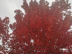 -西宁市人民公园(城西区)