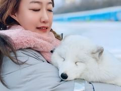 -人民防洪胜利纪念塔