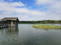 -溱湖国家湿地公园