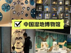 -中国湿地博物馆