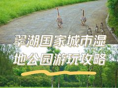 -翠湖国家城市湿地公园