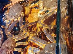 -驻海渔市(置信店)