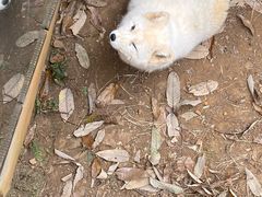 -云南野生动物园