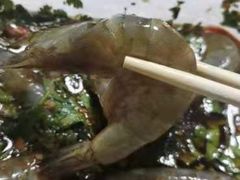 -潮粥馆(长江花园店)