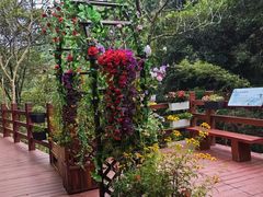 -广州白江湖森林公园