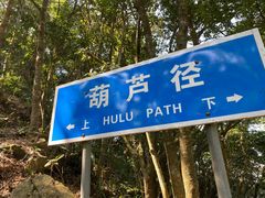 -梧桐山风景名胜区