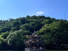 -潮镇老尾牛杂(环城西路店)