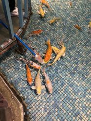 -酷嗒动物文化乐园(cutezoo西溪乐天城店)