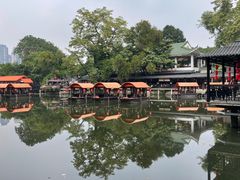 -侨美·唐荔园·40年地道粤菜