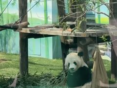 -无锡动物园·太湖欢乐园