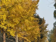 -白鹭湾湿地公园