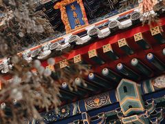 -北京艺术博物馆(万寿寺)