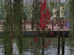 -西安汉城湖景区